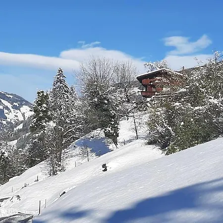 Alpine With Exceptional View مايرهوفن