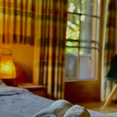 Alpine With Exceptional View מאיירהופן